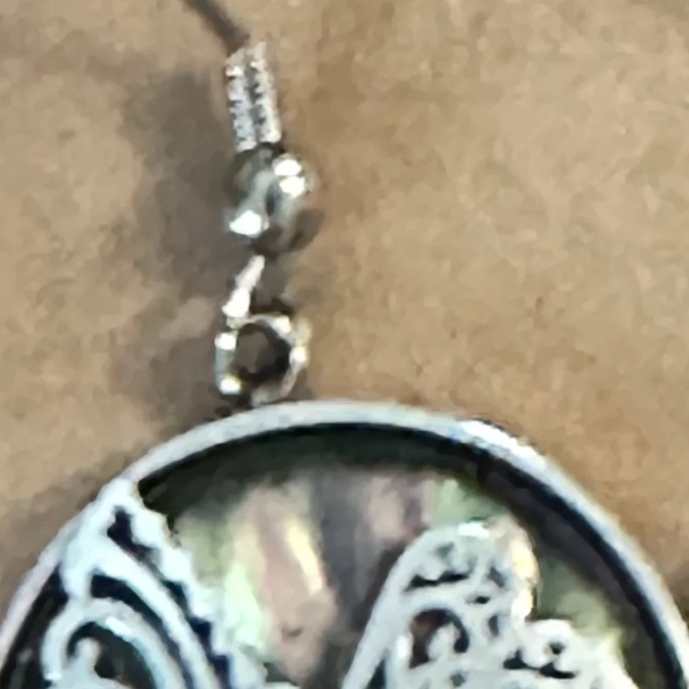 316L Stainless Steel -Genuine Abalone shell dragonfly earrings round. NWOT - Picture 3 of 13